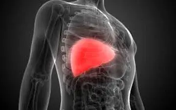  کبد چرب؛ از عوارض تا درمان