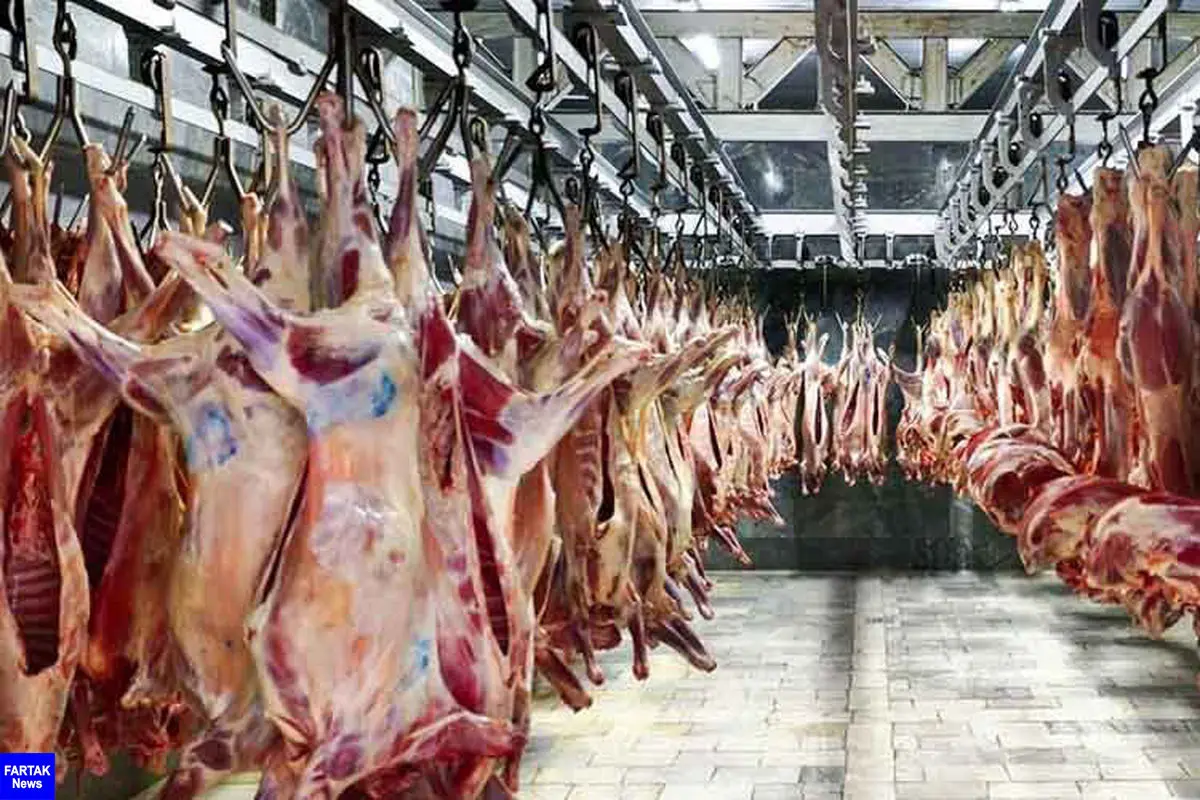 جزئیات توزیع گسترده گوشت گرم وارداتی ؛ قیمت اعلام شد | تغییر قیمت بازار با توزیع کالابرگ؟