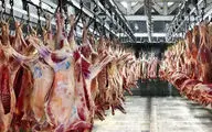 جزئیات توزیع گسترده گوشت گرم وارداتی ؛ قیمت اعلام شد | تغییر قیمت بازار با توزیع کالابرگ؟