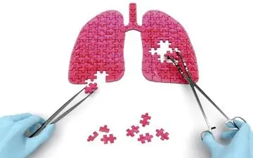 پاکسازی ریه ها بعد از خانه تکانی با این خوراکی ها