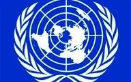 گزارشگر ویژه سازمان ملل: همه تحریم‌ها لغو یا معلق شوند
