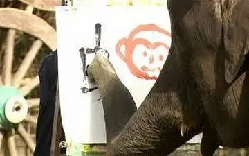 خوش نویسی و نقاشی فیل ها در ژاپن + فیلم