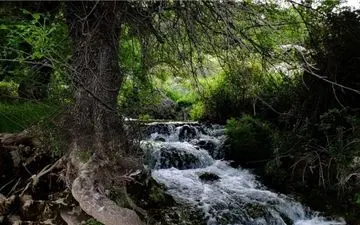  جاذبه های گردشگری کهگیلویه و بویراحمد؛ از غار ده شیخ تا رود رونه