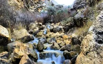 وزش باد شدید و گردوخاک در چندین استان/باران‌های بهاری ادامه دارد