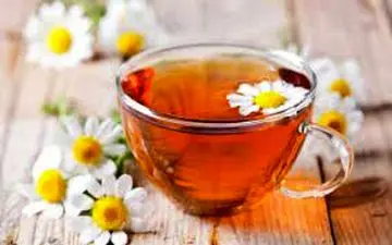 ۳ گیاه مفید برای رفع تشنگی در ماه رمضان 