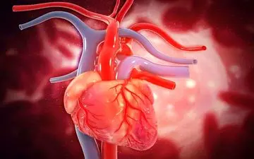  ورزش می‌تواند تاثیرات مثبتی بر سلامت قلب و عروق بگذارد!