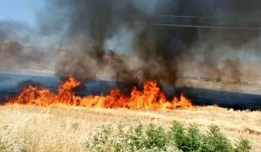 آتش سوزی در 50 هکتار از مزارع و مراتع کشاورزی اسلام آبادغرب