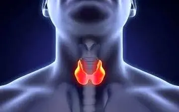 علائم شایع کم کاری تیروئید را بشناسید