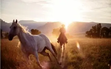  عکس منتخب نشنال جئوگرافیک | طلوع در مزرعه