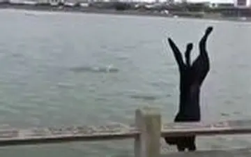 پشتک زدن دیدنی یک سگ در دریا