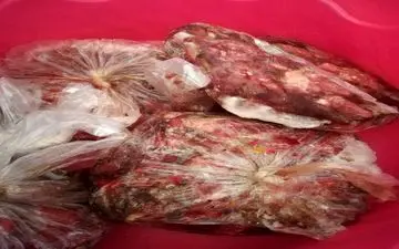 600کیلوگرم گوشت ناسالم ضبط و معدوم شد