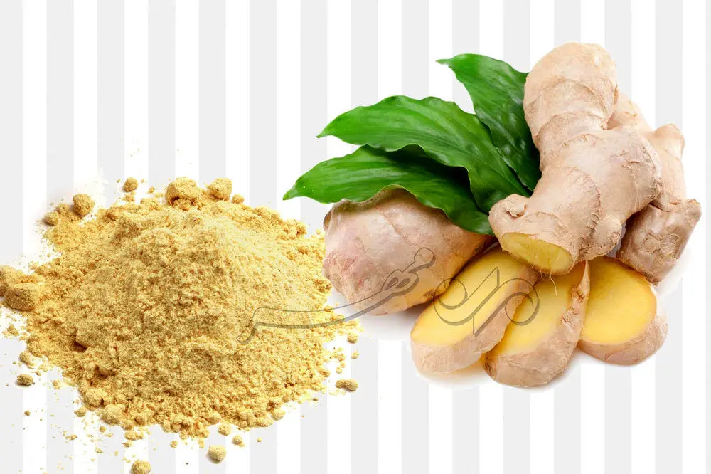 از تقویت مو تا کاهش التهاب؛ گیاهی همه‌کاره برای زندگی سالم