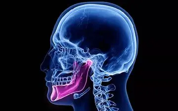 کشف بخش جدیدی از بدن