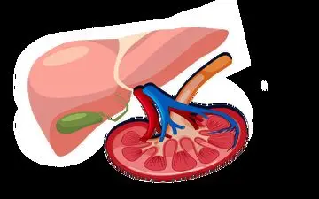 بیماران دیابتی به شدت مراقب سلامت کلیه هایشان باشند!