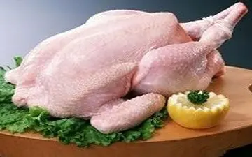 دلایل شایعه مرغ های هورمونی