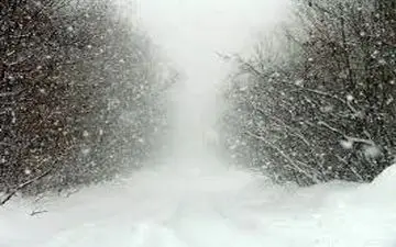 ۱۰۰ کشته بر اثر بارش برف در افغانستان