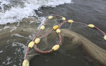 بزرگ‌ترین ماهی آب شیرین جهان+عکس