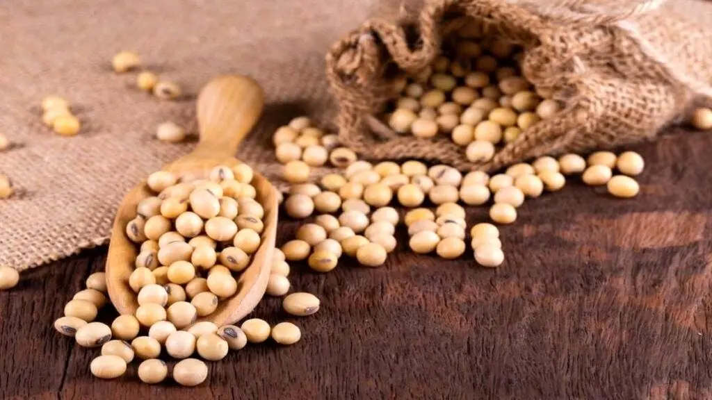 بررسی خواص معجزه آسای سویا برای سلامت