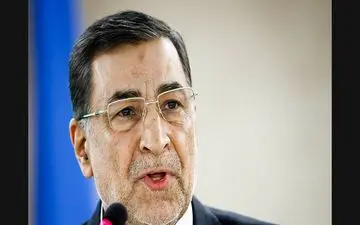 مبارزه بی‌امان با قاچاق کالا نیاز اساسی کشور