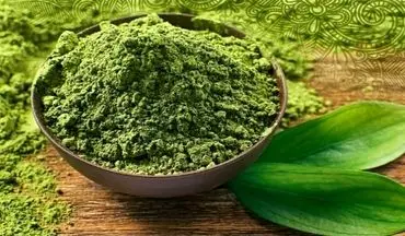 حنا برای درمان سیروز کبدی معجزه می‌کند