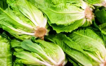 از شر سرماخوردگی و آنفولانزا خلاص شوید؛ با این سبزی‌ها سیستم ایمنی خود را تقویت کنید