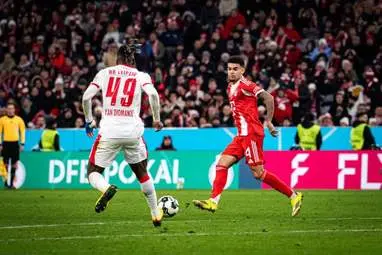 IMG_20260212_023313_132