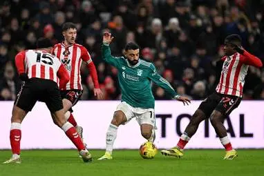 IMG_20260212_023822_497