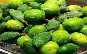 عوارض مصرف چغاله بادام