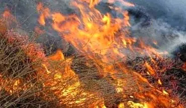 دو هکتار از اراضی گندم پلدختر در آتش سوخت