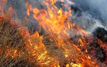 دو هکتار از اراضی گندم پلدختر در آتش سوخت