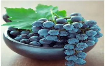  این میوه ی لذیذ تابستانی مخصوص دیابتی هاست