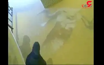 نقاشی سه بعدی روی دیوار +فیلم