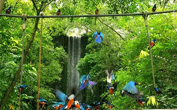 هدیه بزرگ یک خیر به پرندگانی که زخمی ماندگار بر تن دارند