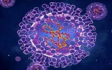 احتمال ابتلا به آبله میمون در باشگاه‌های ورزشی