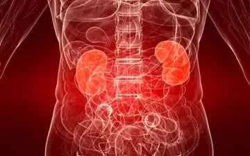  وجود خون در ادرار هشداری بر بدخیمی‌های سیستم ادراری است