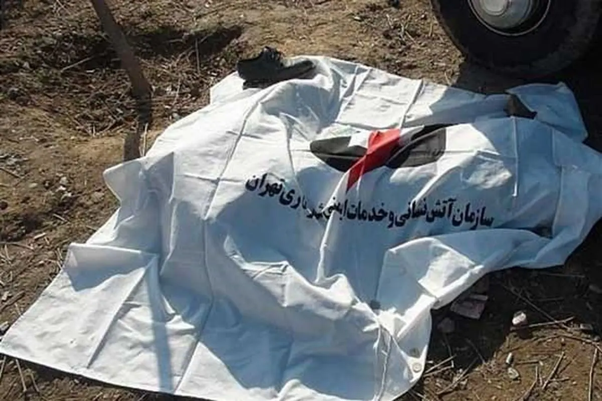 نزاع مرگبار با چوب و شمشیر در پارک وحدت تهران/ سه متهم به قتل زیر 20 سال سن دارند