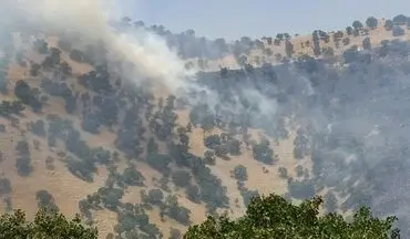 تشکیل کمیته مدیریت بحران برای مهار آتش سوزی در منطقه حفاظت شده بوزین مرخیل پاوه