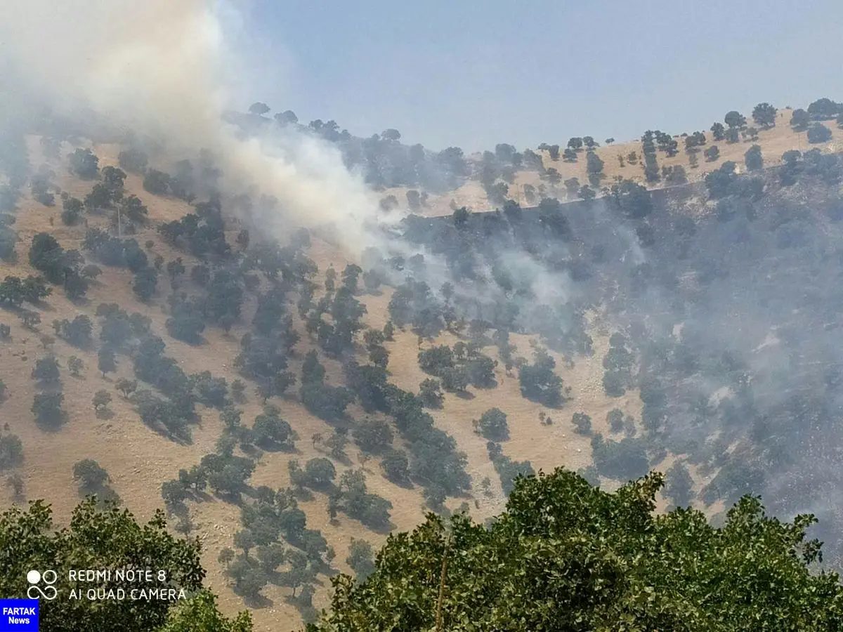 تشکیل کمیته مدیریت بحران برای مهار آتش سوزی در منطقه حفاظت شده بوزین مرخیل پاوه