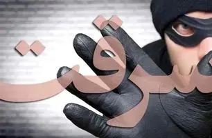 سرقتی باورنکردنی؛ فرار از طلافروشی با الاغ! + ویدئو