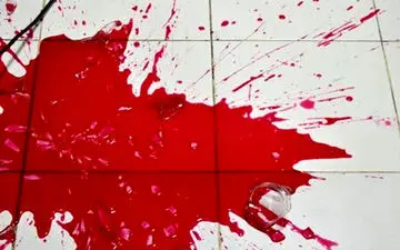 قتل فجیع زن سالخورده با ضربه‌های چکش پسرش