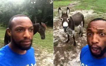  همخوانی با الاغ مرد آمریکایی