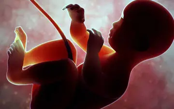 تکان خوردن جنین شبیه چیست؟