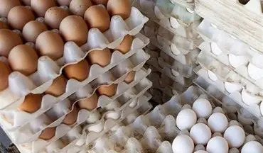 
تثبیت قیمت تخم مرغ در بازار/ خرید حمایتی از مرغداران ادامه دارد
