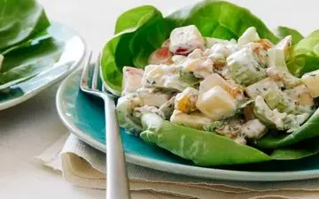 این سالاد واقعا فوق العاده س| طرز تهیه سالاد سیب سبز!