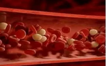  رفع مشکل رقیق شدن بیش از حد خون