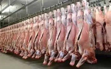 وضعیت بحرانی بازار گوشت بعد از بحران برق 