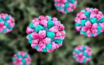 
هشدار ملی انگلیس در مورد شیوع ویروس زمستانی
