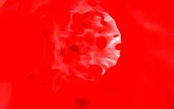 چگونه گردش خون را در بدن بهتر کنیم؟

