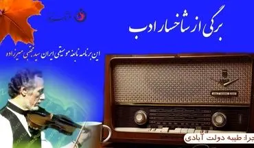 نگاهی به زندگی هنری سید مجتبی میرزاده نابغه موسیقی ایران