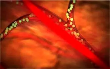 میکروحباب‌های الکتریکی به کمک بیماران سرطانی می‌آیند